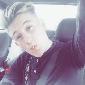 Meet your Posher, Dalton