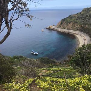 Meet your Posher, Mark jr.