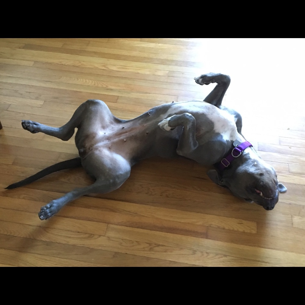 Meet your Posher, Gina