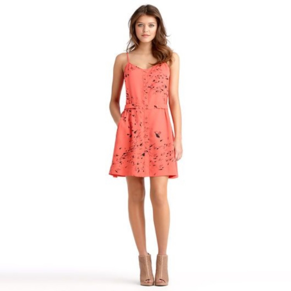 Rachel Roy Fish Dress