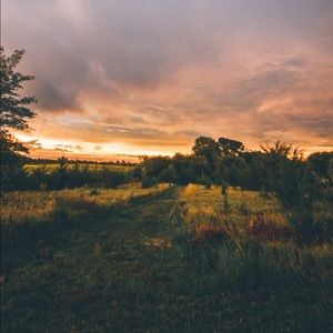 Meet your Posher, Blake