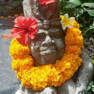 Meet your Posher, Cherry