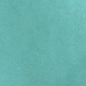 Meet your Posher, Loreta