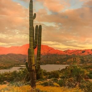 Meet your Posher, Ellen