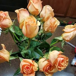 Meet your Posher, Melinda