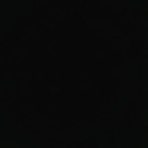 Meet your Posher, Ernesto