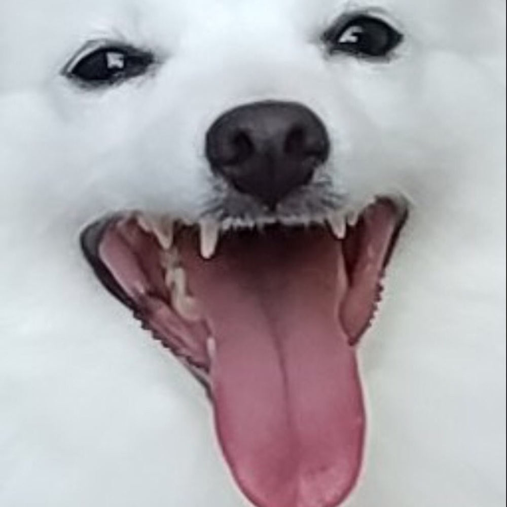 Meet your Posher, Joseph