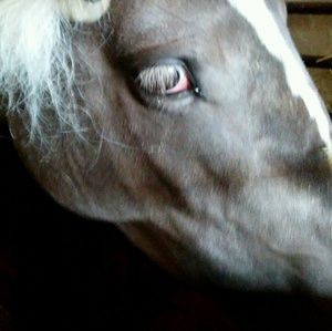 Meet your Posher, Kellie