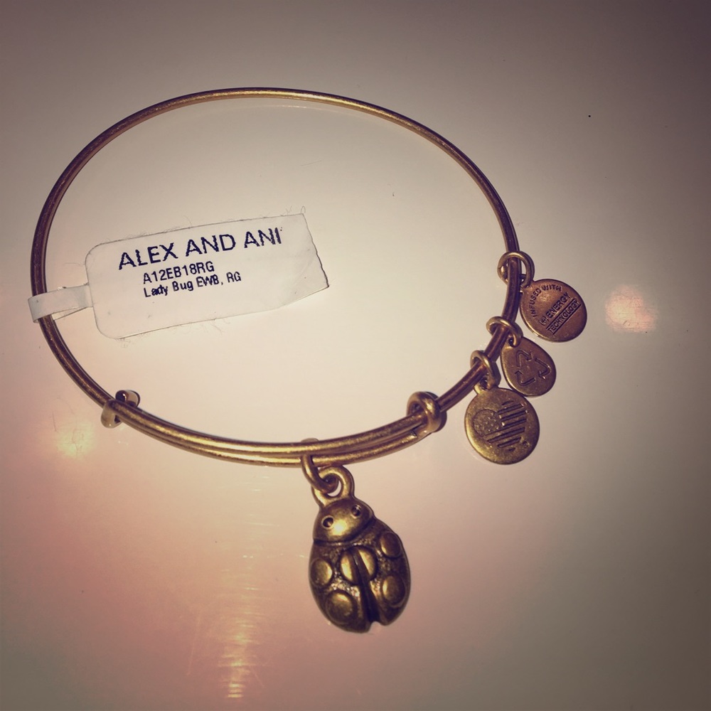 Alex and Ani: lady bug bracelet