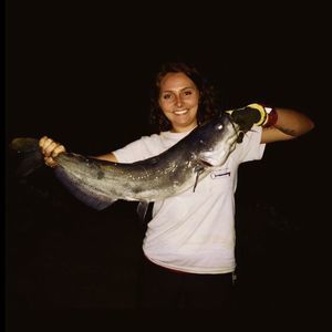 Meet your Posher, Alexus