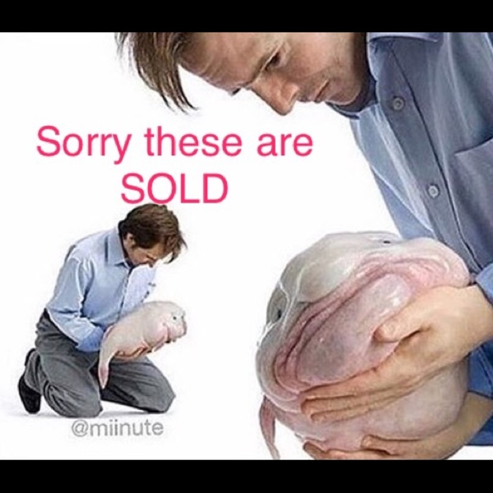 Everything down SOLD