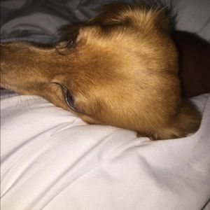 Meet your Posher, Billie