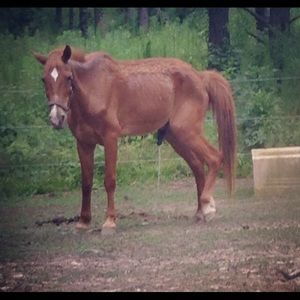 Meet your Posher, Dalton