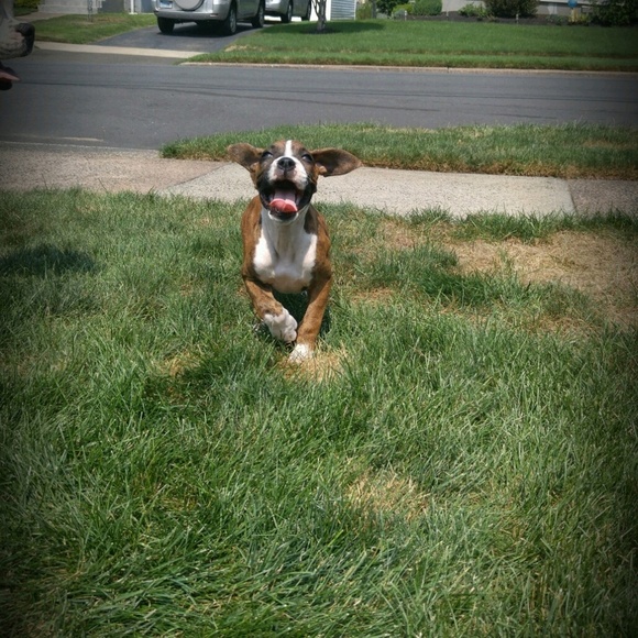 Meet your Posher, Adrianna - Picture 1 of 1