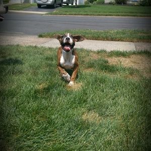 Meet your Posher, Adrianna