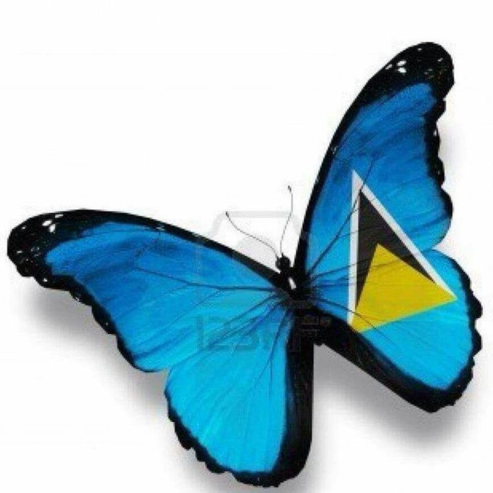 Meet your Posher, Nubi