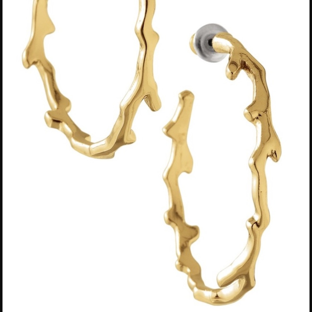 Stella & Dot Corabella Hoops