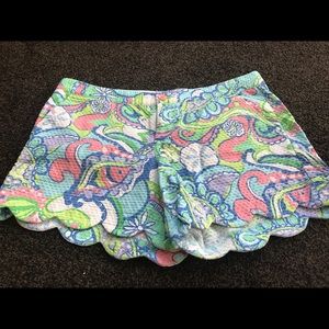 Conch Republic Buttercup