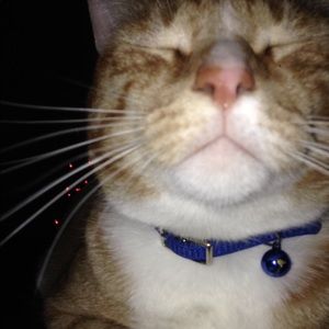 Meet your Posher, Edward