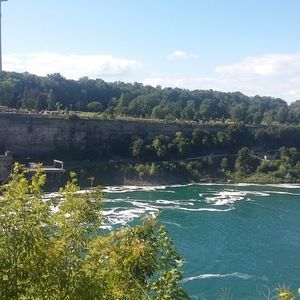 Meet your Posher, Frank