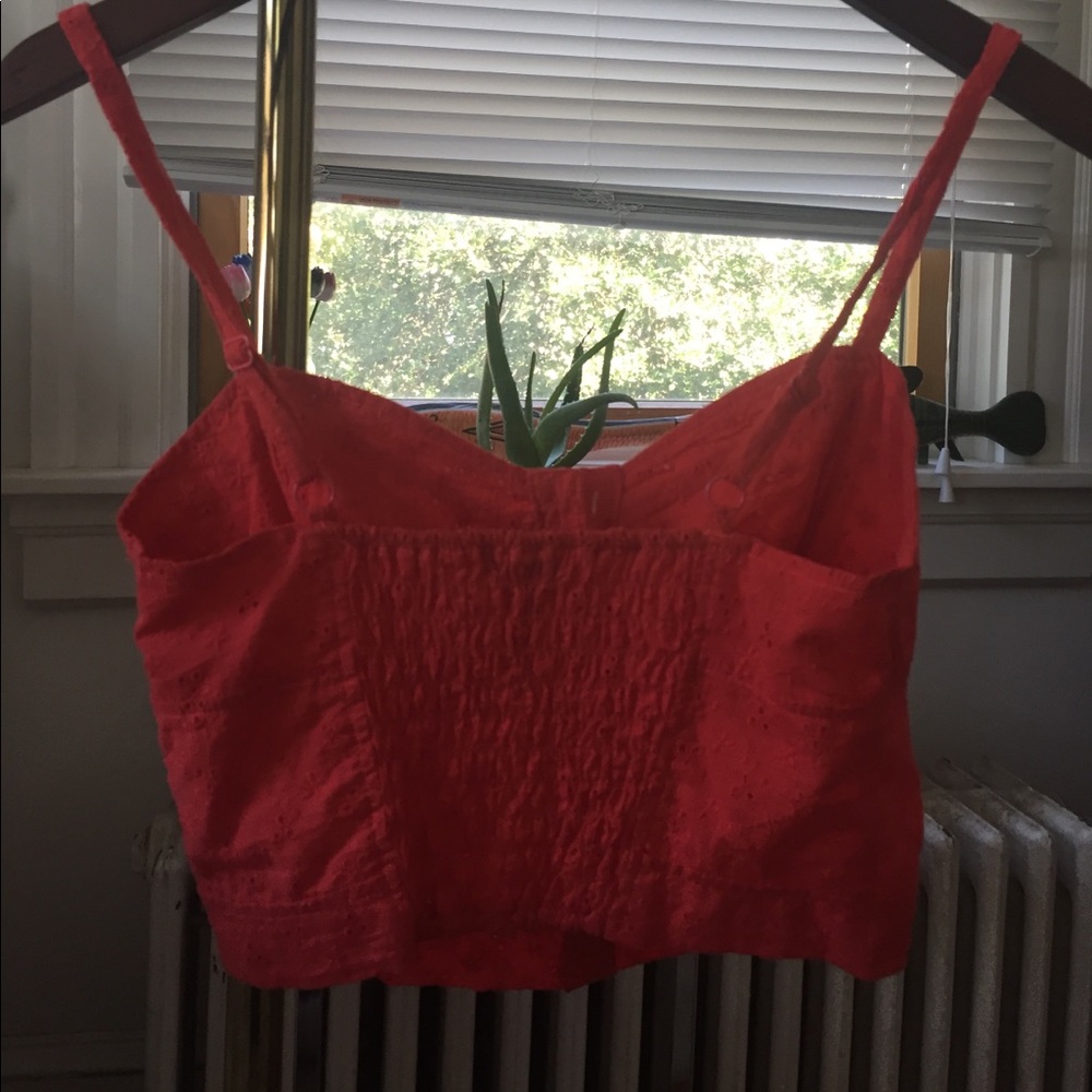 Red Crop Top - Picture 2 of 2