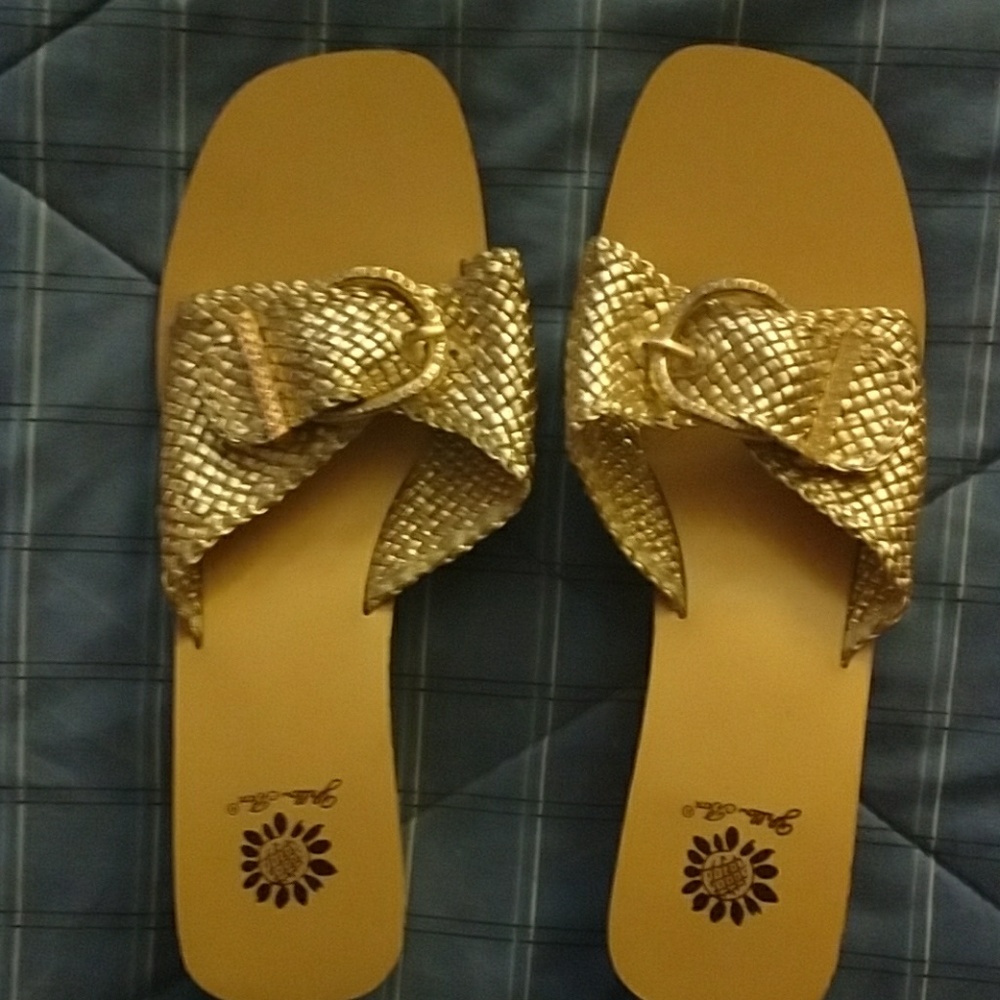 Gold slides by Yellow Box