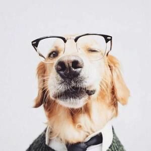 Meet your Posher, Feipeng