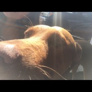 Meet your Posher, Zero