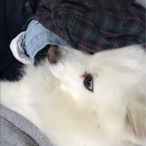 Meet your Posher, Carrie