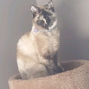 Meet your Posher, Kelly