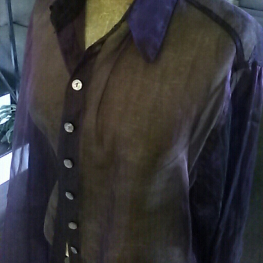 Blouse sheer