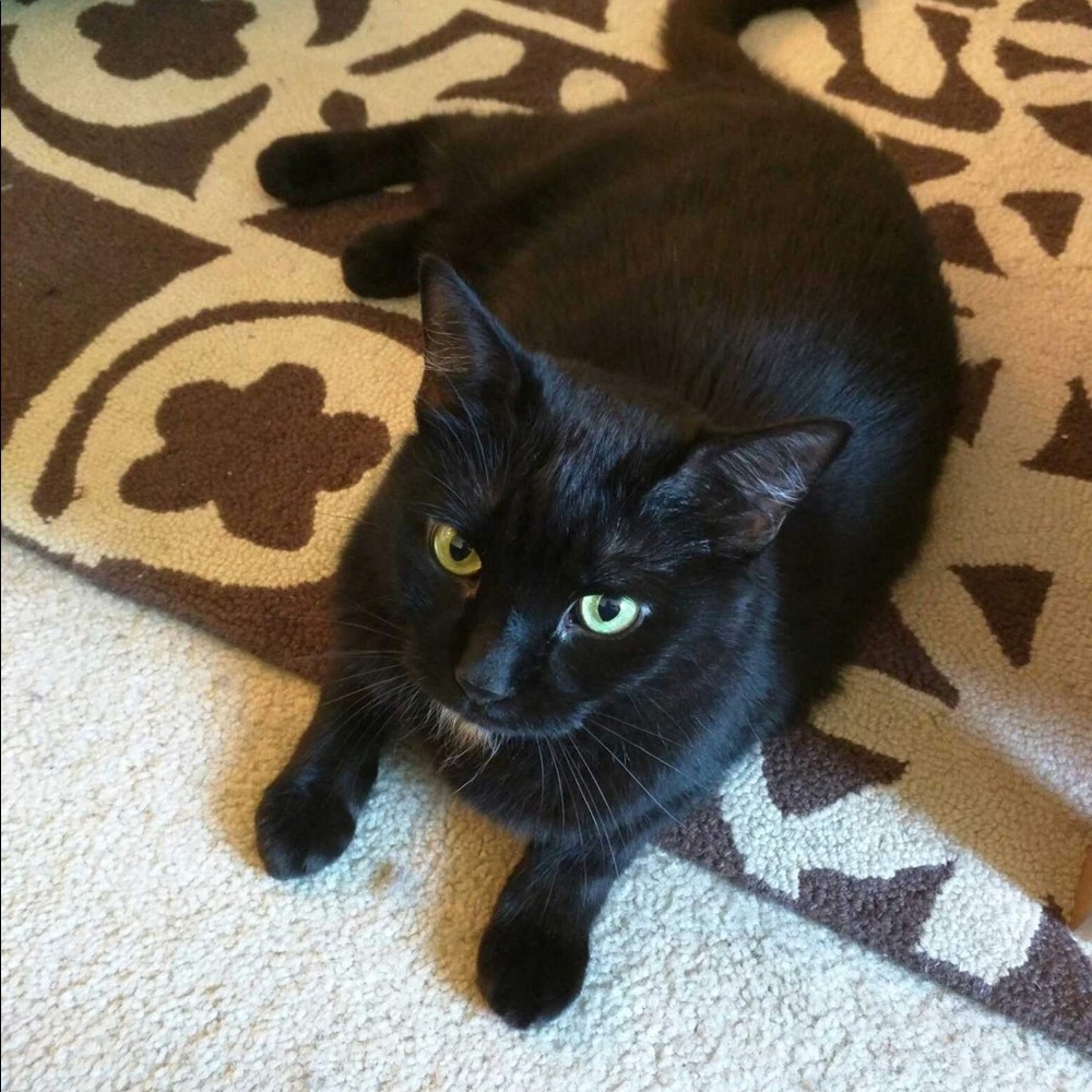 Meet your Posher, Jean