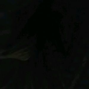 Meet your Posher, Sean