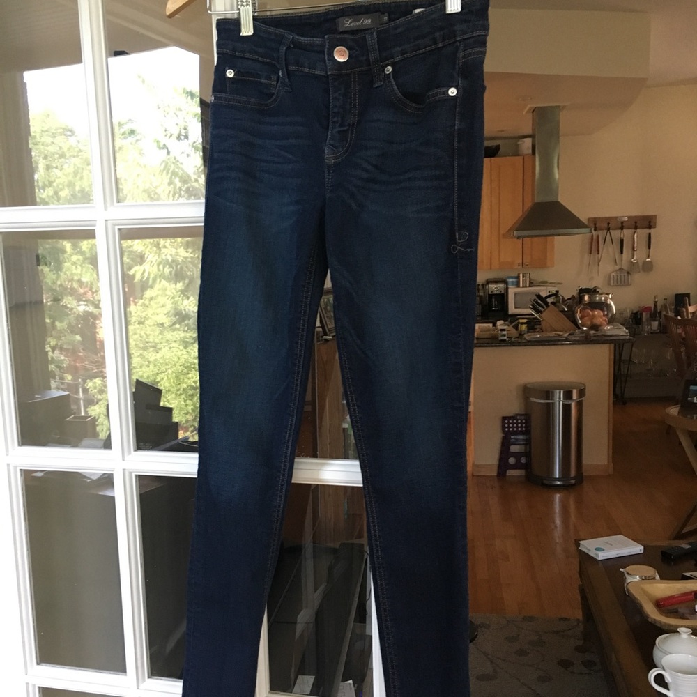 Level 99 Liza Size 27 Skinny Jean-Worn Once