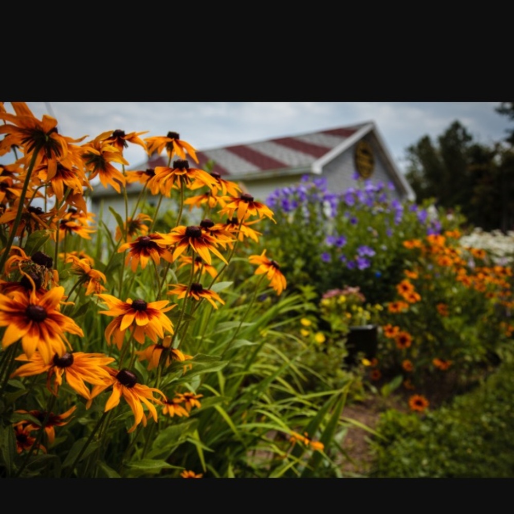 Meet your Posher, Taylor