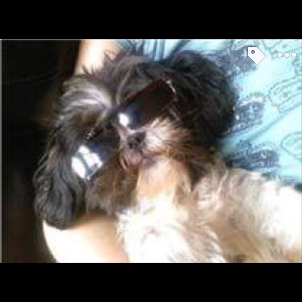 Deals So Bright You Gotta Wear Shades!