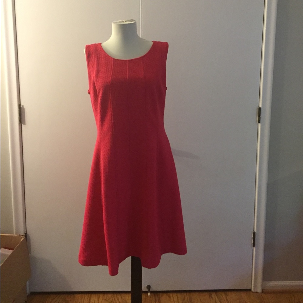 Cute pink Dress with gold zipper in the back.