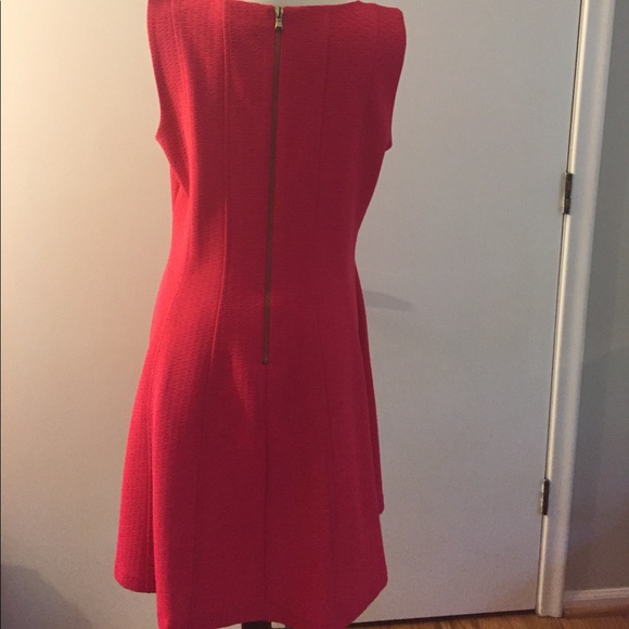 Cute pink Dress with gold zipper in the back. - Picture 2 of 4