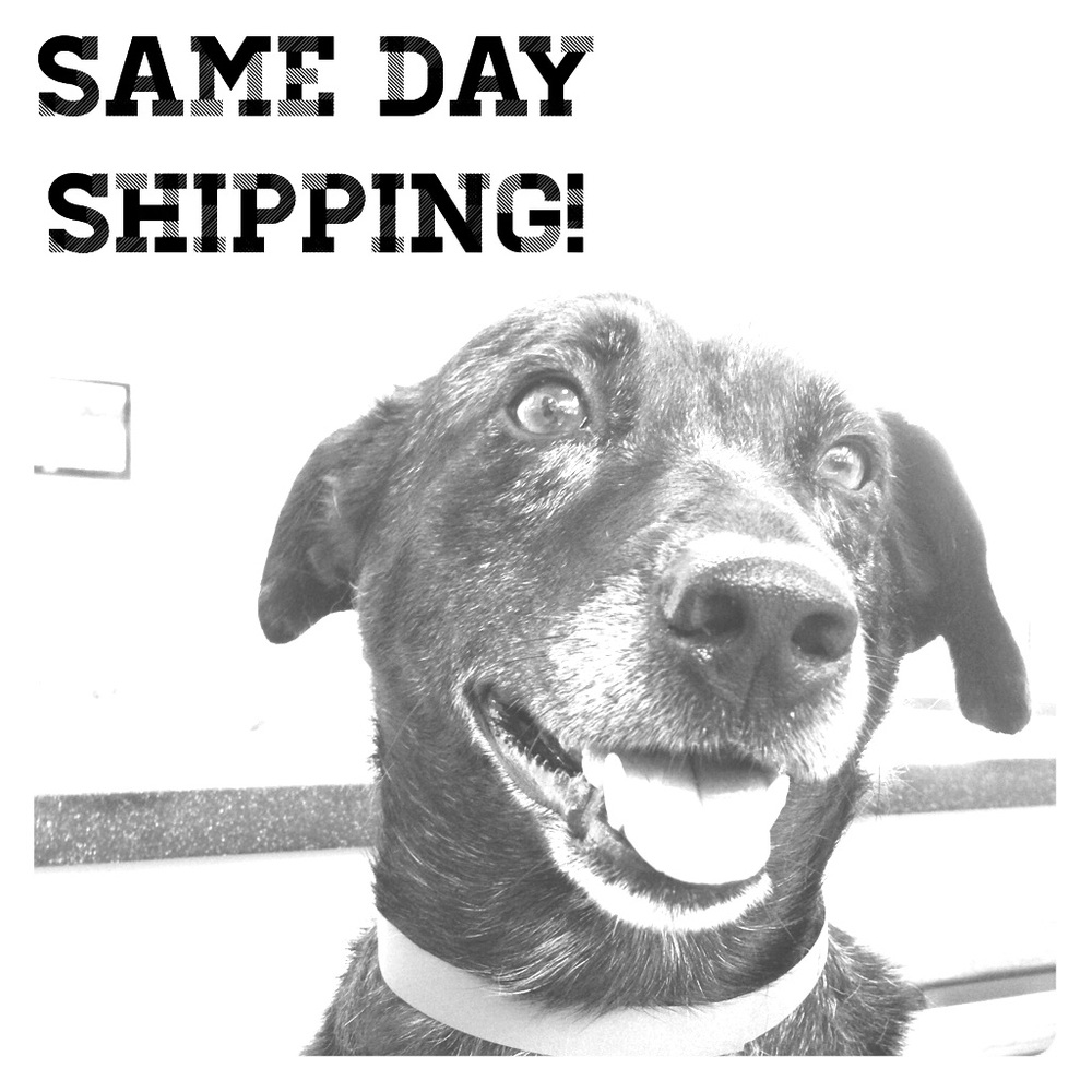 Same Day Shipping