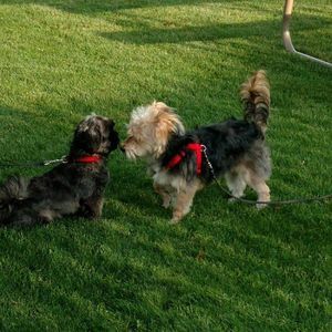 Meet your Posher, Sharon