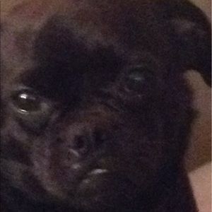 Meet your Posher, Layne