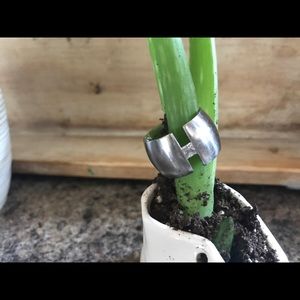 B.Tiff statement ring