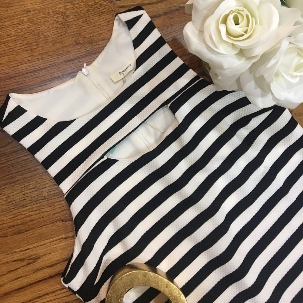 Freeway Copland Black and white stripe dress 