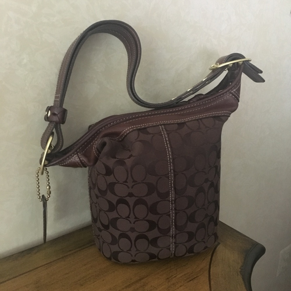 Coach hobo Handbag