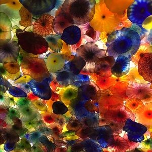 Meet your Posher, Greta