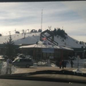 Meet your Posher, Frankie