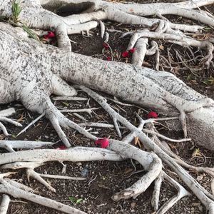 Meet your Posher, Edgar