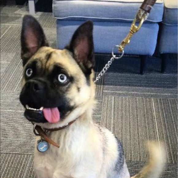 Meet your Posher, Julie - Picture 1 of 1