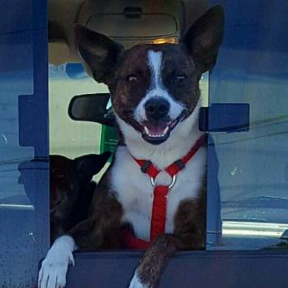 Posh Ambassador at your service - Picture 7 of 12