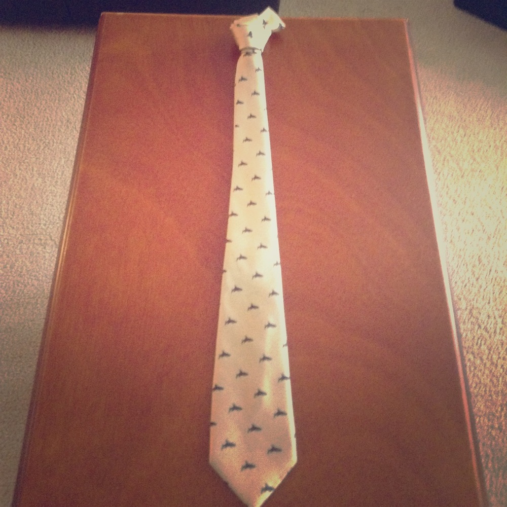 Boys Formal Fashion Neck Tie